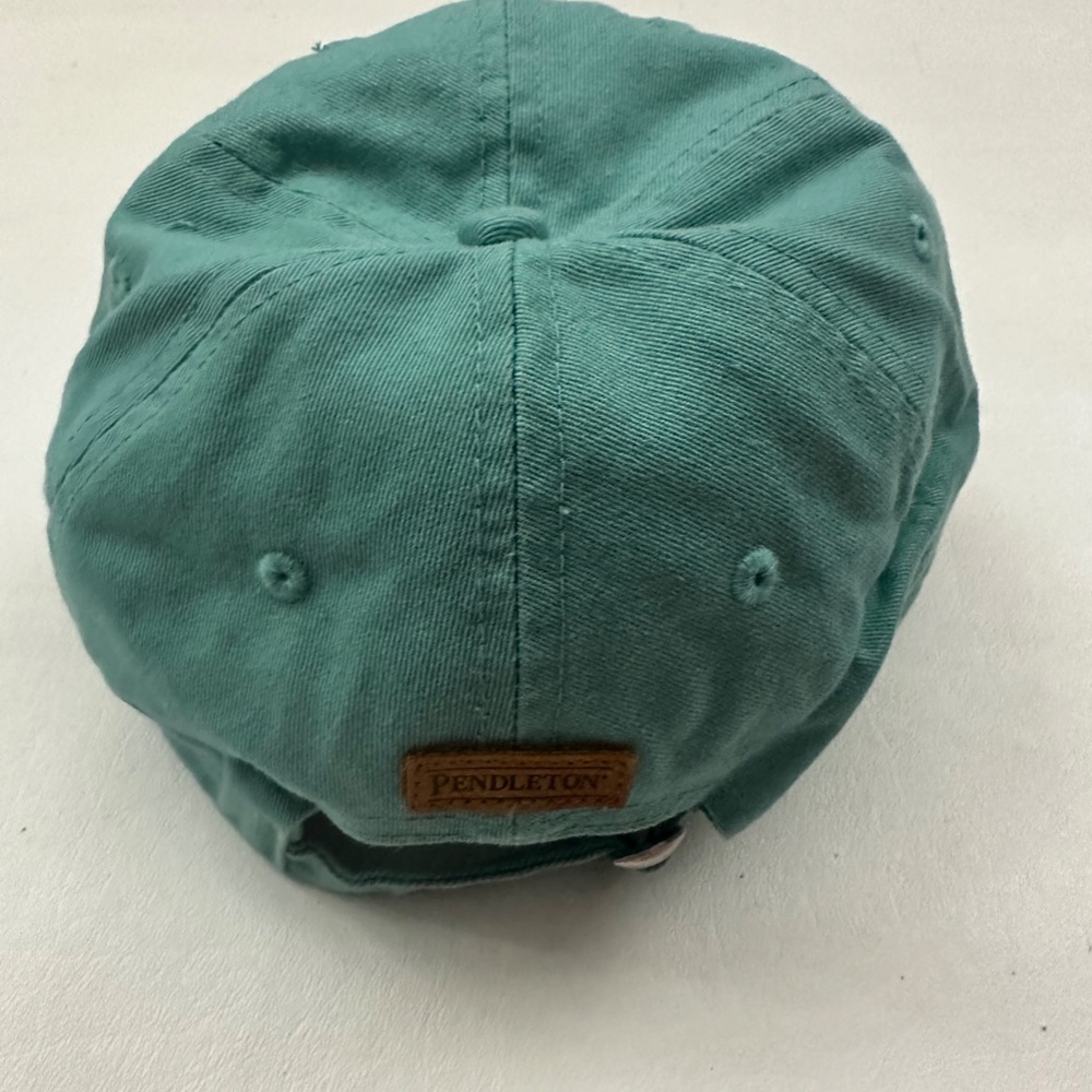 NEW Pendleton Aqua Logo Graphic Adjustable Baseball Hat Cap One Size - Picture 3 of 5